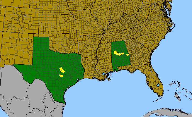The range of Croton alabamensis